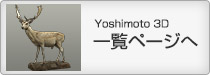 剥製3Dデータ“Yoshimoto 3D” 一覧へ進む