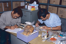 南米ペルーのトルヒーヨ大学考古学研究室で、アンデス先住民の人骨を調査しているところ