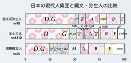 日本の現代人集団と縄文・弥生人の比較