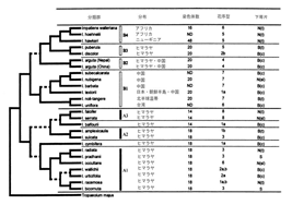 系統分化と起源の地