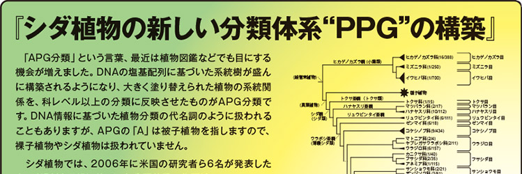 私の研究 国立科学博物館の研究者紹介