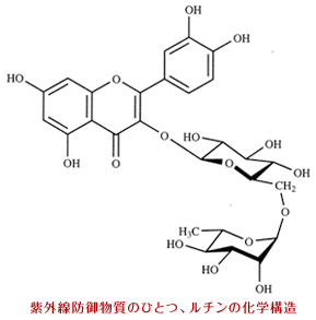 Oh䕨̂ЂƂA`̉w\