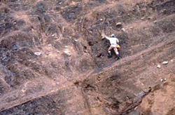 サハリン・マカロフ地域の白亜紀の地層2