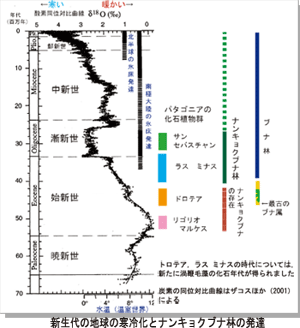 新生代の地球の寒冷化とナンキョクブナ林の発達