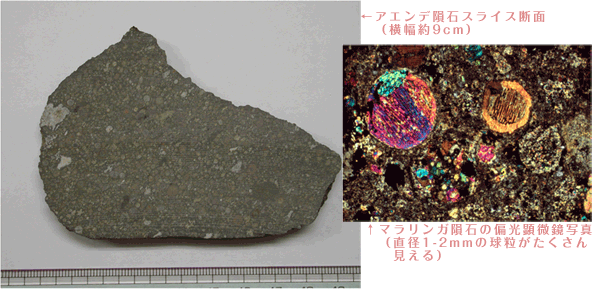 左：アエンデ隕石スライス断面、右：マリランガ隕石の偏光顕微鏡写真