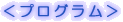 Sub title:プログラム