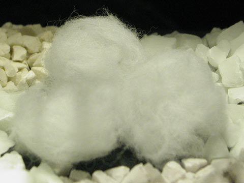 �E�B���h�E�����