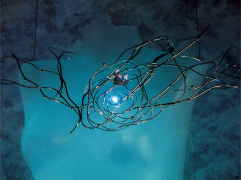 �E�B���h�E�����