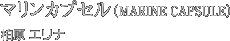 �}�����J�v�Z���iMARINE  CAPSULE�j�����@�G���i