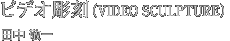rfIiVIDEO SCULPTUREjc@h