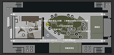 フロアマップ