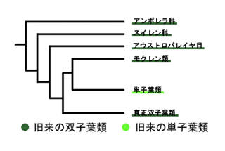 利用案内 情報 ホットニュース 2008 06 15 国立科学博物館