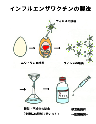 利用案内・情報 ≫ ホットニュース ≫ 2009-12-07 :: 国立科学博物館 National Museum of Nature and  Science,Tokyo